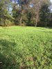 IMG_1924.JPG