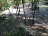 IMG_1221.JPG