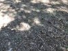 IMG_1230.JPG