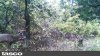 HUNT0166.JPG