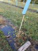 20171001_075423.jpg