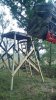 IMG_20160924_160344.jpg