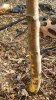 20171030_152619.jpg