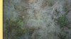 IMG_20171106_102534778-800x450.jpg