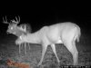 Trail Cam 8.JPG