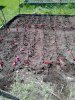 IMG_20170521_142534.jpg
