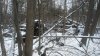20171210_122743.jpg