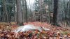 20171118_102804.jpg