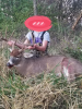 2017-12-12 10.21.34_resized.png