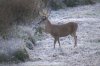 IMG_5623.JPG