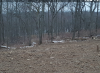 SmartSelectImage_2017-12-15-22-04-17.png