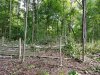 20170630_102619.jpg 20170630_102619.jpg