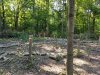 20170706_174541.jpg 20170706_174541.jpg
