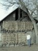 barn2 (3).jpg