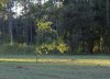 IMG_0187_zpshlo9tg76.jpg