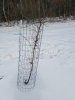 20180113_112607.jpg