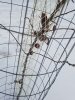 20180113_112612.jpg