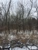 0DC0283B-C906-408D-865C-482E72311FA9.jpeg