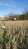 20161126_140739.jpg