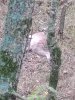 IMG_20171012_084159065.jpg