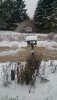 bird feeder.jpg