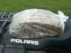 IMG00062-20100426-1059.jpg
