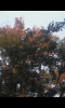 Screenshot_2018-02-10-17-28-24.png