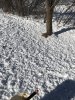 IMG_2222.JPG IMG_2222.JPG