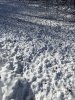 IMG_2230.JPG