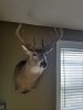 20180217_161245.jpg