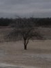09EDCAFD-F138-4EC1-BFF4-AA3CB40F8181.jpeg