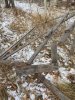 IMG_2078.JPG