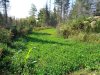 DSC03105.jpg