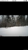 35E66C93-A065-434D-97AF-09CA6557CDD7.png