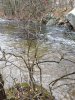 IMG_20180224_132557767.jpg