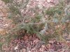 IMG_20180301_124232020.jpg