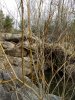 IMG_20180301_102150011.jpg