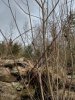 IMG_20180301_102208699_HDR.jpg