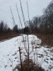 20180310_094547.jpg