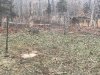 D3A67AAB-0063-4B06-9706-C29EF613060F.jpeg
