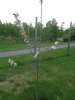 DSC01088.jpg
