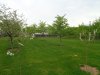 DSC01089.jpg