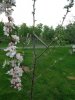 DSC01090.jpg