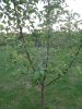 DSC01091.jpg