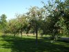 DSC02063.jpg