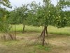 DSC00123.jpg