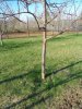 DSC02775.jpg