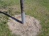 DSC03765.jpg