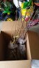 20180328_131148_resized.jpg