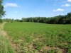 DSC03970.jpg